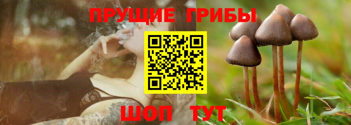 Псилоцибиновые грибы прущие грибы Котовск