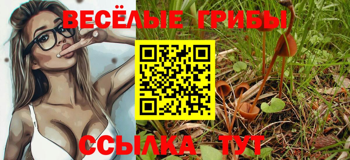 Псилоцибиновые грибы прущие грибы  где можно купить   Котовск  Вход с VPN 